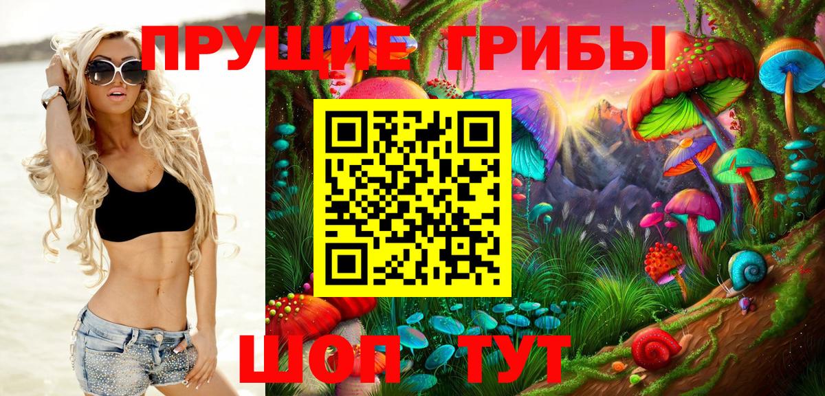Псилоцибиновые грибы мицелий Медногорск